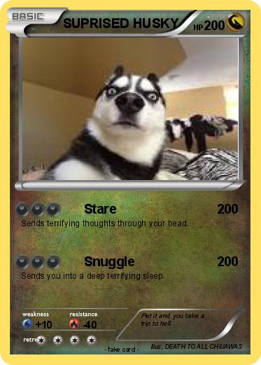 Pokemon SUPRISED HUSKY