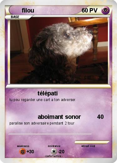 Pokemon filou