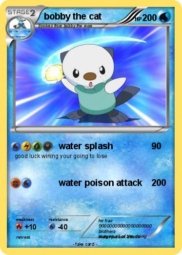 Pokemon bobby the cat