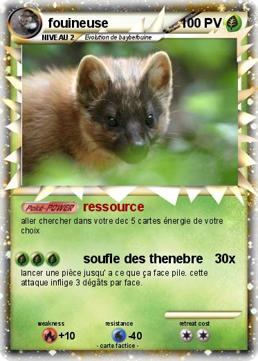 Pokemon fouineuse