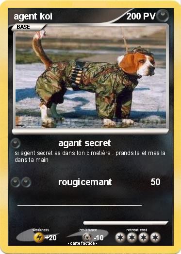 Pokemon agent koi