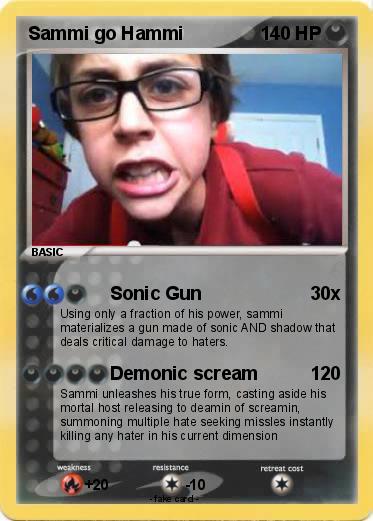 Pokemon Sammi go Hammi
