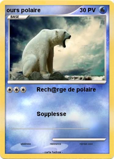 Pokemon ours polaire
