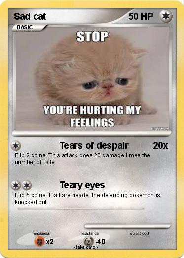 Pokemon Sad cat