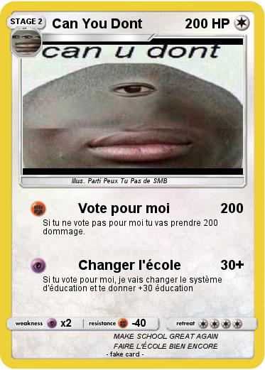 Pokemon Can You Dont