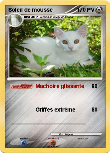 Pokemon Soleil de mousse