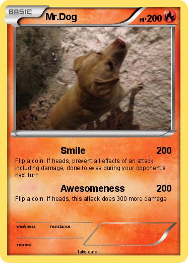 Pokemon Mr.Dog