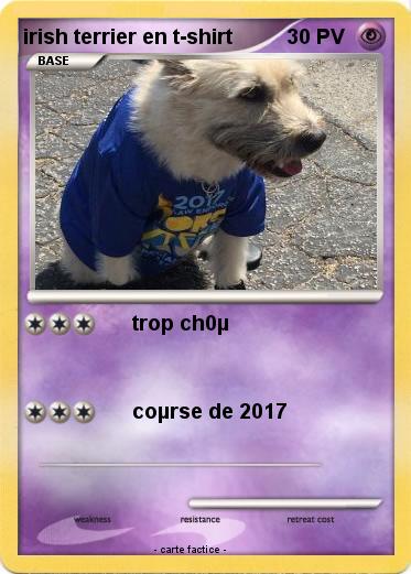 Pokemon irish terrier en t-shirt