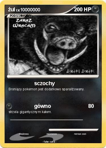 Pokemon żul
