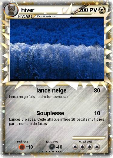 Pokemon hiver
