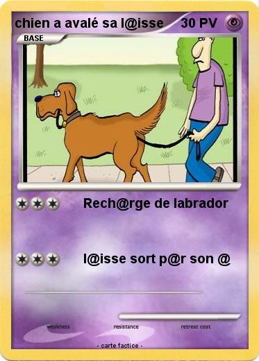 Pokemon chien a avalé sa l@isse