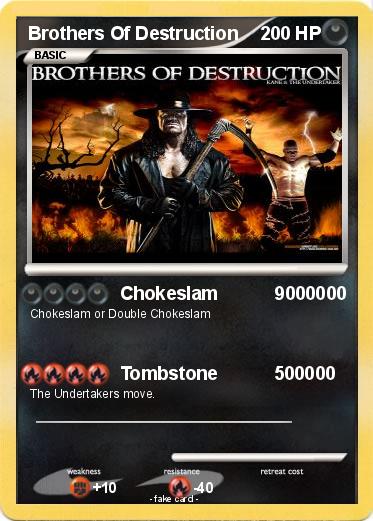 Pokemon Brothers Of Destruction