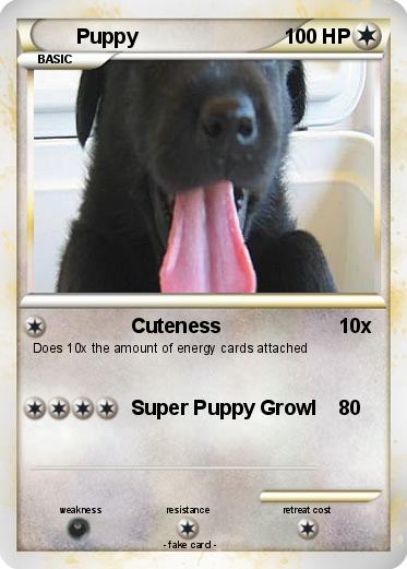 Pokemon Puppy