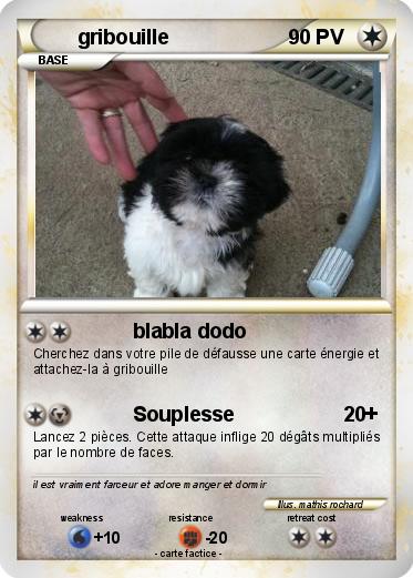 Pokemon gribouille