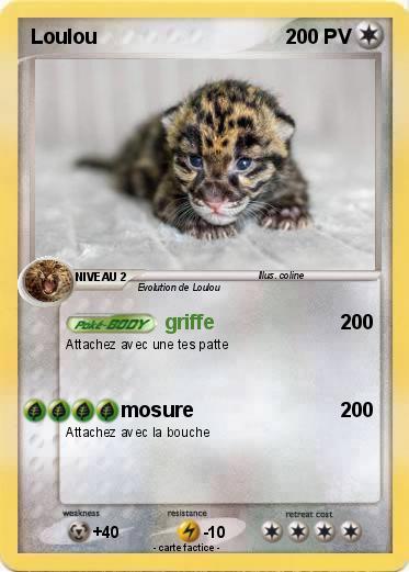 Pokemon Loulou