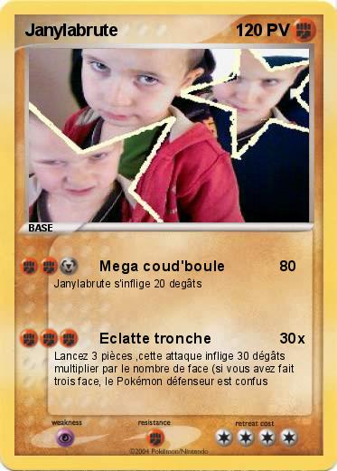 Pokemon Janylabrute