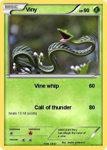 Pokemon Viny