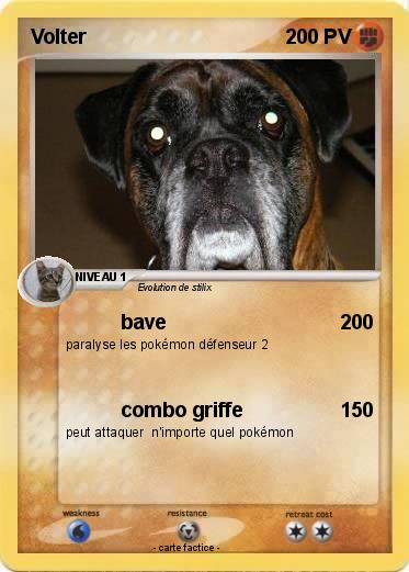 Pokemon Volter