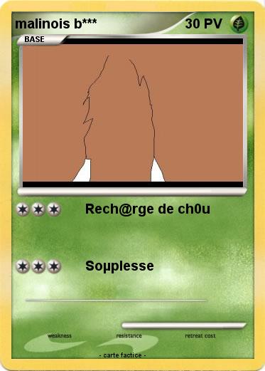 Pokemon malinois b***