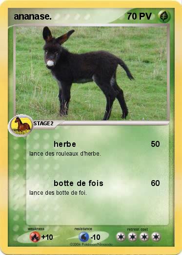 Pokemon ananase.