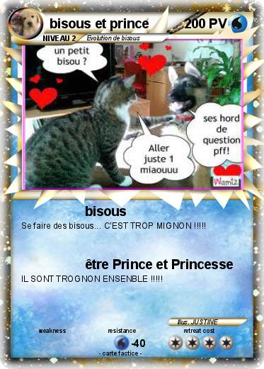 Pokemon bisous et prince