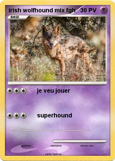 Pokemon irish wolfhound mix fgh