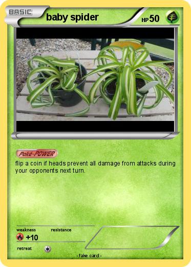 Pokemon baby spider