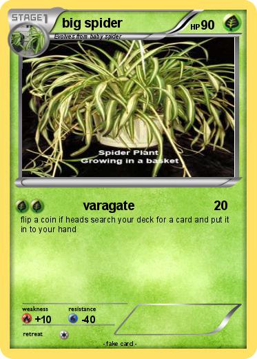 Pokemon big spider