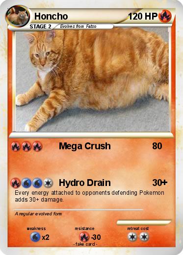 Pokemon Honcho