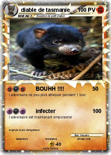 Pokemon diable de tasmanie