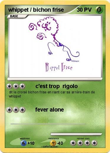 Pokemon whippet / bichon frise
