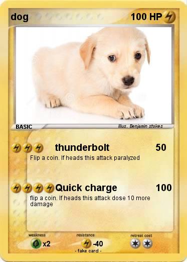 Pokemon dog