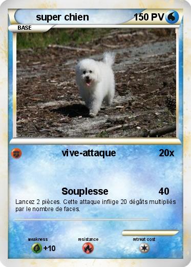 Pokemon super chien