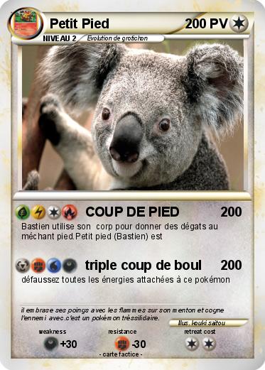 Pokemon Petit Pied