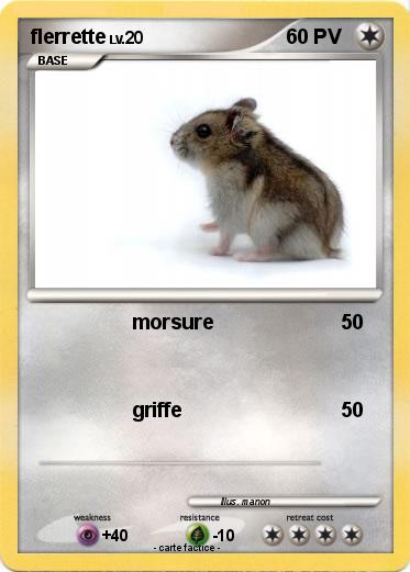 Pokemon flerrette