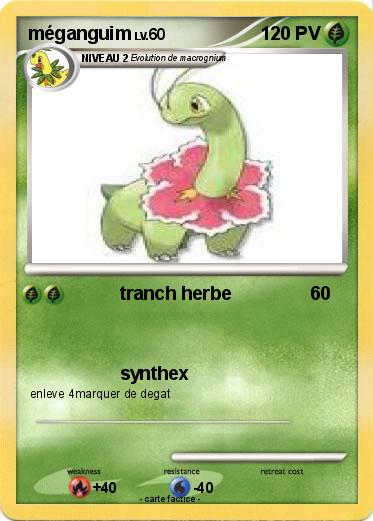 Pokemon méganguim