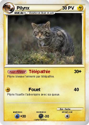 Pokemon Pilynx