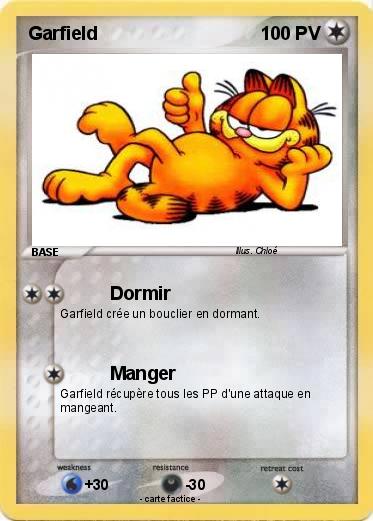 Pokemon Garfield