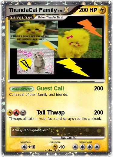 Pokemon ThundaCat Family