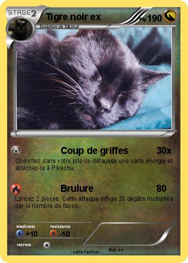 Pokemon Tigre noir ex