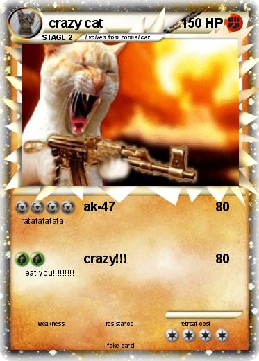 Pokemon crazy cat