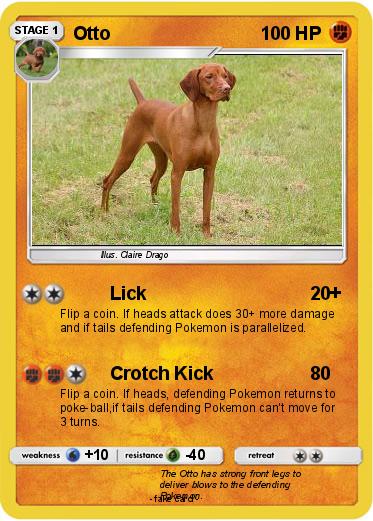 Pokemon Otto