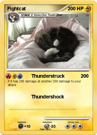 Pokemon Fightcat