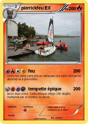 Pokemon pierrickfeu EX