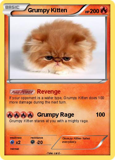 Pokemon Grumpy Kitten