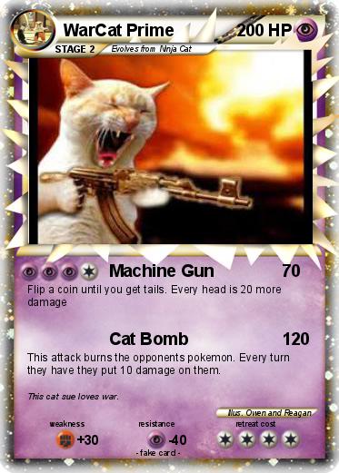Pokemon WarCat Prime