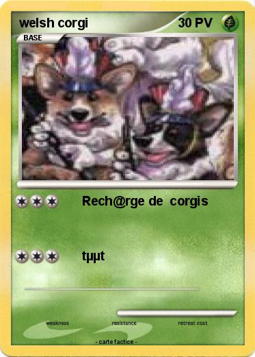 Pokemon welsh corgi