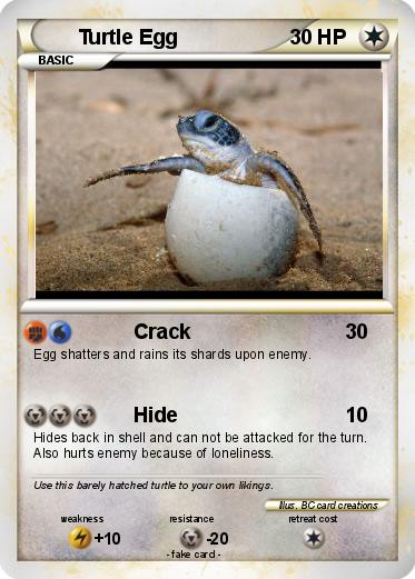 Pokemon Turtle Egg