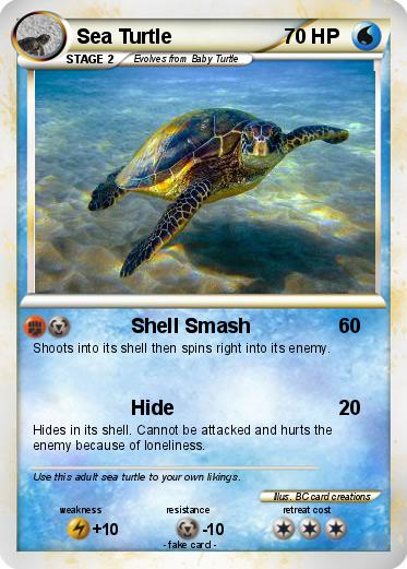 Pokemon Sea Turtle