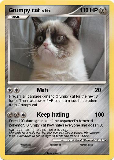 Pokemon Grumpy cat